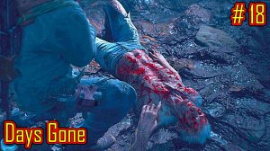 Days Gone прохождение с русской озвучкой часть 18