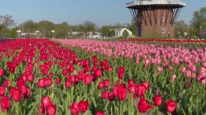 ЭТА МУЗЫКА ПРОСТО ВЕЛИКОЛЕПНА! ОНА ИДЕАЛЬНО ПОДХОДИТ ДЛЯ ДУШИ И ВЫЗЫВАЕТ ВОСХИЩЕНИЕ