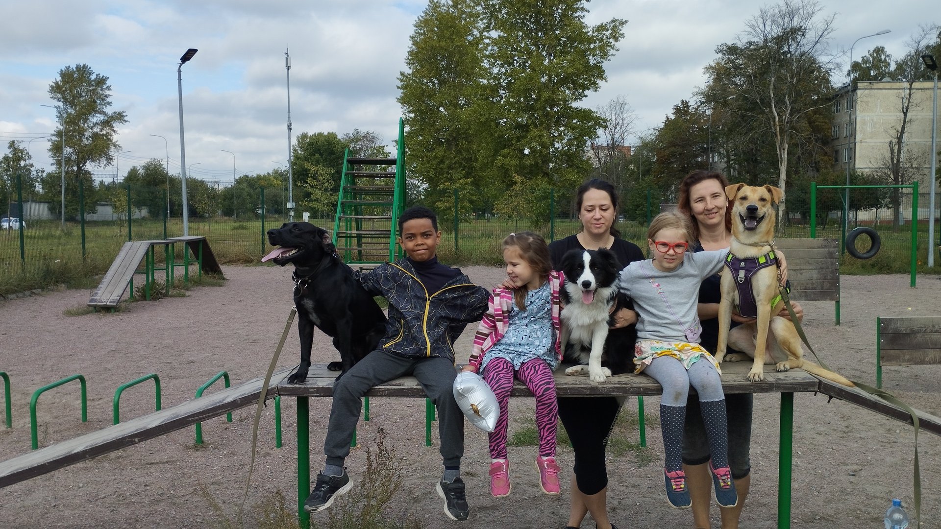 Музей Псов @ Моя Жизнь Кино смотреть онлайн