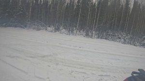 Охота с гончим на зайца