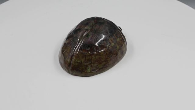 Жук "Старый мох"