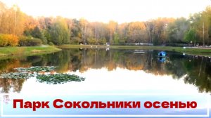 Парк Сокольники осенью