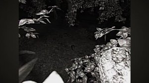 1992_................