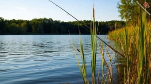 Песня про рыбалку