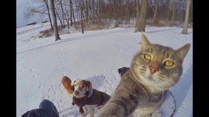 Стрим 🔴 Вторниковский!!!!!!)