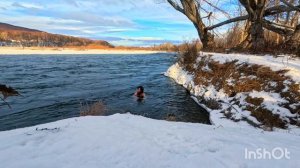 19 ноября 2025 г