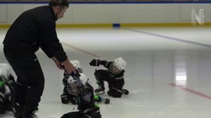 Малыши на льду | Находка | 14 ноября 2025