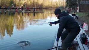 Отличный клёв форели на спорт-зоне. Клёвое место, Лосиный остров.