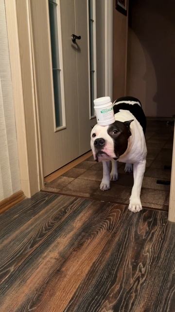 Повторяем равновесие. смотреть онлайн