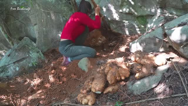 Добыча и продажа диких клубней #картошка @39504760857