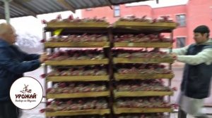 Всему голова: Жители Авдеевки теперь будут со свежим хлебом