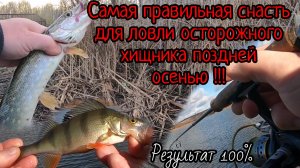 Рыбалка поздней осенью на хищника !Самая проверенная приманка!Микроджиг