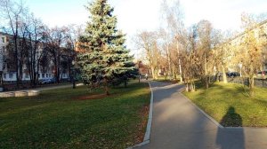 ТЕСТ ЭЛЕКТРОННОГО СТАБИЛИЗАТОРА СМАРТФОНА Intel S24