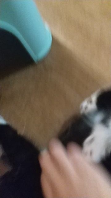 VID_20240922_181606.mp4 смотреть онлайн