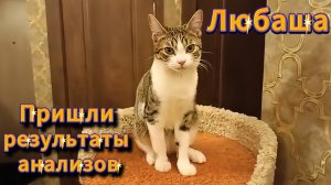 Любаша. Пришли результаты анализов.