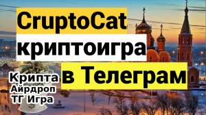 CryptoCat — криптоигра в Телеграм