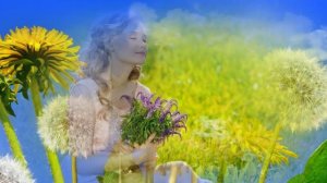 284.=Одуванчик-ст.А.Зенцов,муз.Ю.Чуфаров,поет М.Папст,монтаж.В.Зубкова.