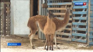 Выберите имя новоржденному