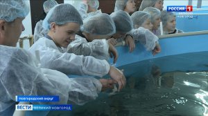 ГТРК СЛАВИЯ Новгородский округ рыборазводный завод в Броннице 19.11.25