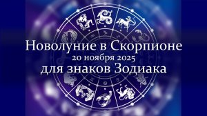 Новая Луна для всех и каждого