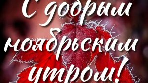 С добрым ,ноябрьским утром!