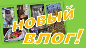 ВЛОГ: ПОКУПКИ, ВСТРЕЧА НА ВАЛДБЕРИС И ПУШИСТЫЙ ИНТЕЛЕКТ...