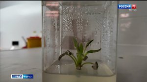 Вести-Томск, выпуск от 19.11.2025 11:30