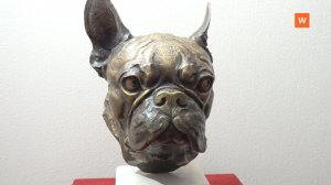 Программа «Город. Новости по-выборгски» от 19 ноября 2025 года