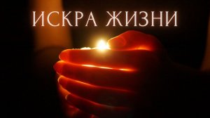 9.1.Аддикция и сгорание. Суть бесед 1-9. Маниак., депрес. Избыт. погружение. Стимуляция, мозг. Эрос