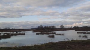 Полезные прогулки, городской парк.