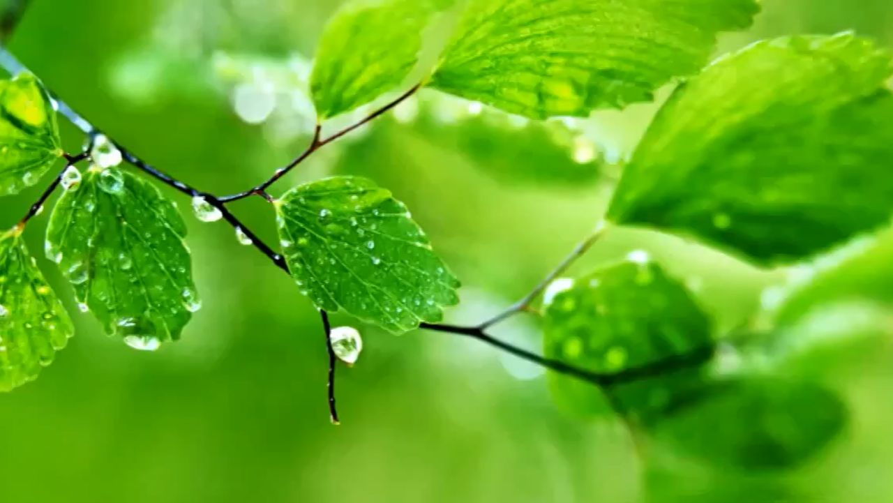 Очень НЕЖНАЯ музыка