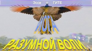 (12) ЙОГА РАЗУМНОЙ ВОЛИ - Эссе о Гите - Труд Шри Ауробиндо
