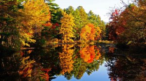 Стрим 🔴 Понедельничковый!!!!!!)