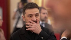 Кошкович: США лишили Зеленского возможности влиять на переговоры по Украине