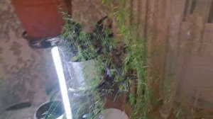 БОЛТАЛКА/Надо меньше есть!!!👋🥰