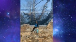 ✅ Знакомство с Волшебниками + Татьяна +