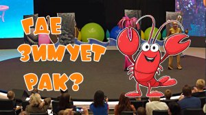 Где зимует Рак? Автор стихов Елена Лемехова, музыка Михаила Гребенщикова, отрывок из спектакля