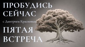 ПРОБУДИСЬ СЕЙЧАС.  Пятая встреча. Погружение в тишину ума.