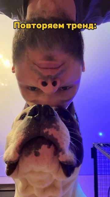 Тренд. смотреть онлайн