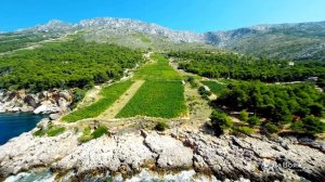 Круизы  на лайнерах круизной компании Ponant класса Премиум с системой питания «Ультра все включено»