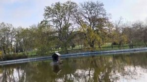 ОДЕССА 19 НОЯБРЯ 2025. Я ЗА КОШЕВОГО ПОРВУ! ПАРКОВКУ ДЛЯ ГЕЕВ ЗАКРАСИЛИ! МИЛЛИАРД ДЕРЕВЬЕВ!