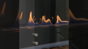 видеообложка Биокамин Royal Thermo RTBFP-W700TG Taiga