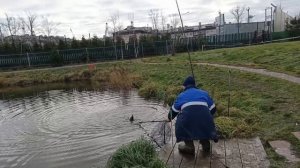 VID_20251119_111642_117