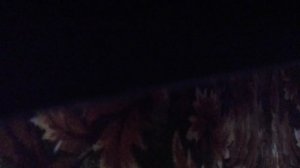 19 ноября 2025 г