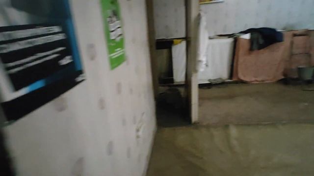 22 мая 2024 г.