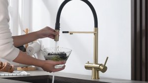 Смеситель для кухни с краном для фильтра (НЕРЖ-SUS304 ) V15019S