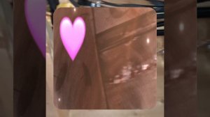 1000040588.mp4 (Собака смотрит на монтаж электропроводки (распайку р/коробок) в доме А-фрейм)