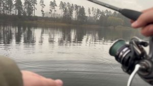 РЫБАЛКА НА ЛЕСНОМ ОЗЕРЕ В ЧЕРТЕ ГОРОДА. КЛЮЁТ ВСЕ И СРАЗУ!!!!! ОКУНЬ СУДАК ЩУКА