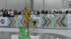 Моншер Вирсаль Исландия