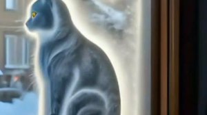 Кот -(песня Бориса Купчина)